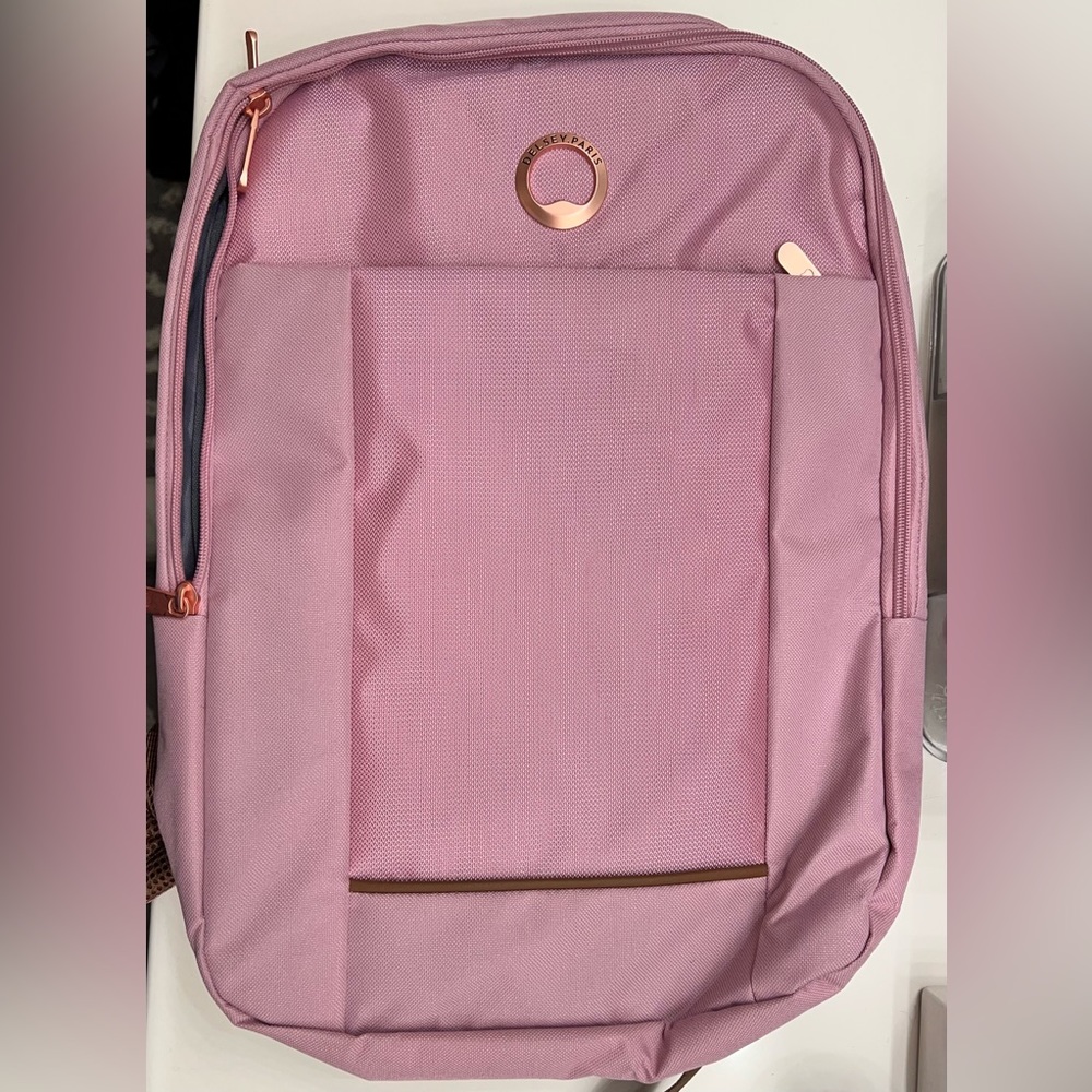 Delsey Paris Ramey backpack